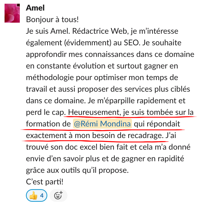Échange dans la communauté Réussir Son SEO